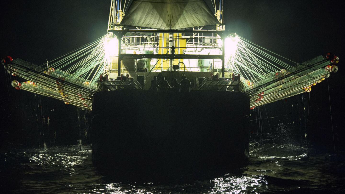 Illustrative example of China Fishing Light Factory